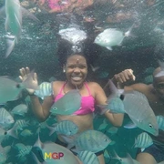 Aventura All Inclusive em Ilha Grande: Bate e Volta