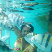 Aventura All Inclusive em Ilha Grande: Bate e Volta